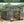 Greenhouses for Outdoors, 8x 16 FT Green Houses, Storage Shed Sunroom