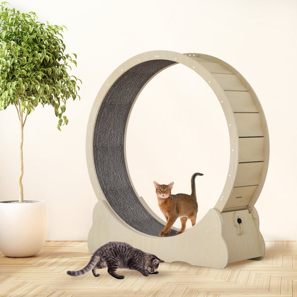 35.4'' Cat Exercise Wheel , with 2 Anti-Scratch Pads, Solid Wood Cat Wheel Exerciser for Indoor Cats for Walking, Running, Training