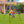 4-in-1 Swing Set and Baby Jumper Outdoor/Indoor, Toddler Swing, Baby Swings & Baby Bouncers