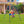 3-in-1 Toddler Swing, Swing Set, Baby Swings Outdoor & Indoor for Infants to Toddler