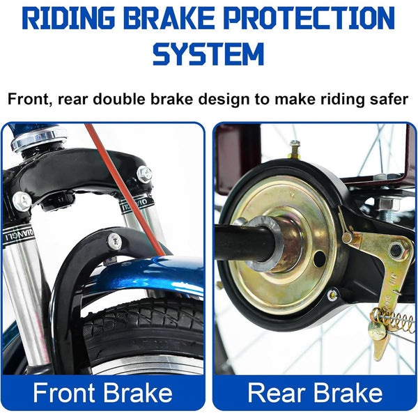 Linor Adult Tricycle with Rear Seats, 20" 3-Wheel, Front and Rear Baskets, Trike for Seniors, Blue