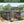 Polycarbonate Greenhouses, 8x20 FT Green Houses for Outside with 4 Adjustable Roof Vents, Walk-in Aluminum Frame Greenhouse with Sliding Doors for Backyard Garden