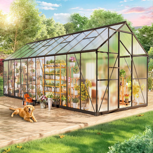 Pipleo Greenhouse for Outdoors，8x20 FT Polycarbonate Green House Walk-in，Greenhouse with 4 Adjustable Roof Vents & Sliding Doors for Garden